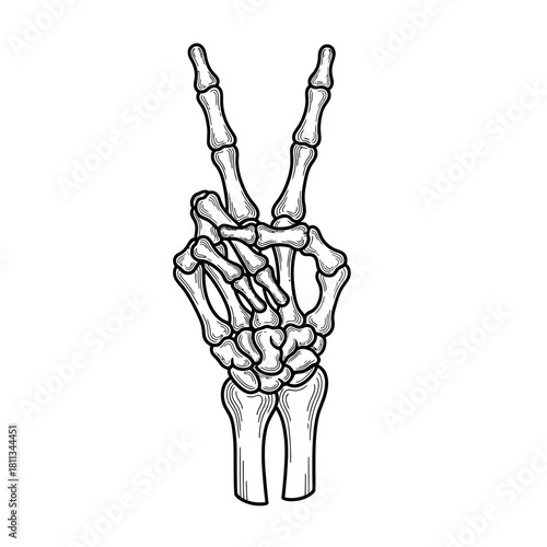 Detailed illustration of a skeleton hand making a peace sign with two fingers up, showing bones and joints.