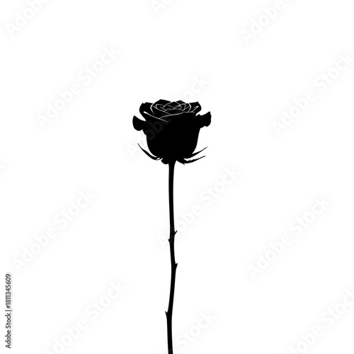 A single black rose silhouette with a long stem and thorns stands vertically against a stark white background, creating a minimalist and striking contrast.