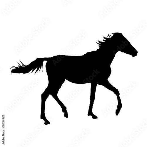 走る馬のシルエット