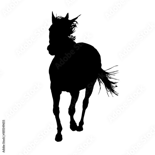 走る馬のシルエット
