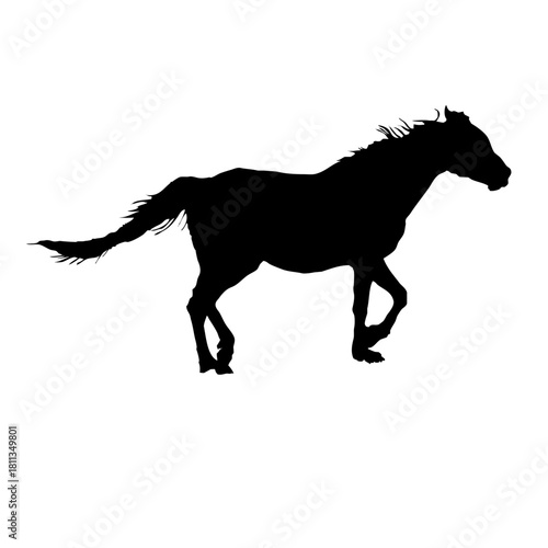 走る馬のシルエット