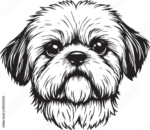 Detailed Shih Tzu Dog Head Portrait Vector: Cute Pet Breed Illustration for Grooming and Animal Design