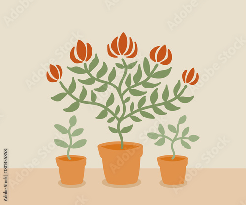 Mother plant and two seedlings in a pot, propagating plants.
