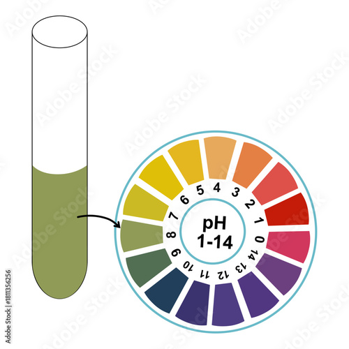 pH Measurement in a Test Tube Using Universal Indicator Color Chart, Chemistry Scientific Analysis