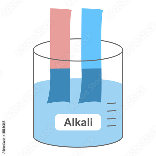 Litmus Paper Test for Alkali Solution, Red Litmus Turning Blue Indicator, Chemistry pH Test Experiment