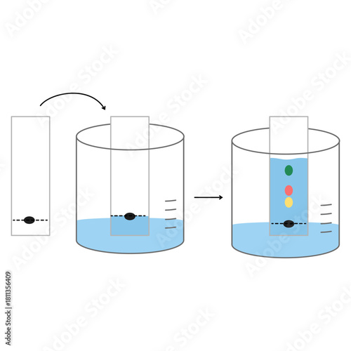 Thin-Layer Chromatography, Analytical Chemistry Technique Diagram