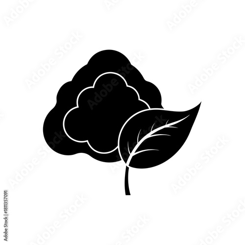 Silhouette of a leaf and broccoli head on transparent background