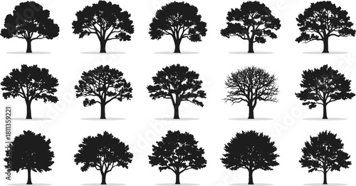 Vector collection of black tree silhouettes, nature forest plants, oak and maple illustrations, isolated garden wood symbols for landscape design, ecological environment icons set