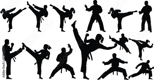 Set of Martial Arts Silhouettes, Karate and Taekwondo Fighters Kicking and Punching Vector Collection