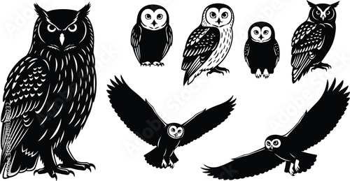 Set of Owl Silhouettes and Detailed Vector Illustrations, Flying and Perched Barn and Horned Owls Collection