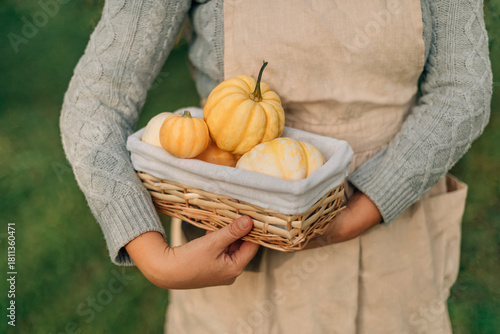 Autumn harvest with pumpkins in wicker basket and person in beige apron outdoors