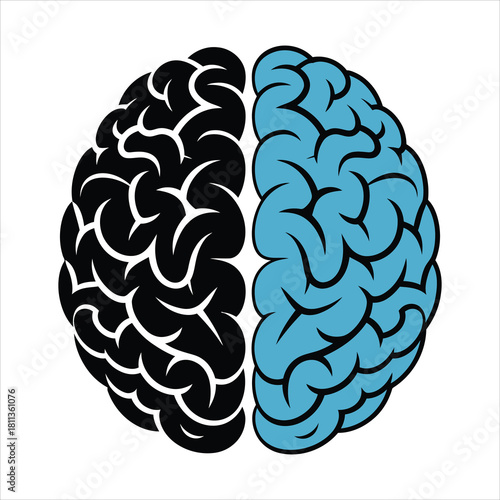 Human brain hemispheres logic mind