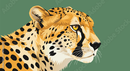 Close-up vector illustration of a cheetah's head in a realistic style. Profile portrait of the wild African predator, a majestic big cat