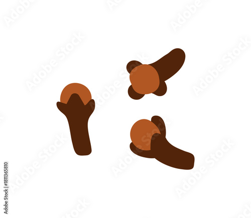 Clove spice. Aromatic dry carnation buds flying, falling. Spicy seasoning, cooking ingredient, flavor. Natural pungent condiment with scent. Flat vector illustration isolated on white background