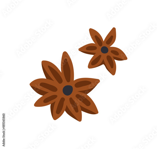 Star anise spice. Aromatic badian, dry seasoning, fragrant ingredient for cooking, flavor. Natural pungent condiment, seasonal scent. Flat vector illustration isolated on white background