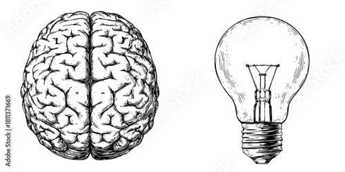 Mindful Illustration Brainy Bulb | Clean, isolated vector art for creative projects.
