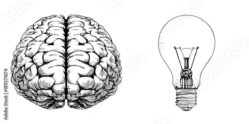 Illuminated Thought: Brain Glowing Lightbulb Above | Clean, isolated vector art for creative projects.