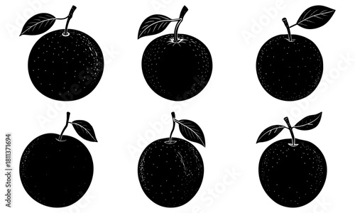 Six black and white plums with stems and leaves arranged in two rows of three on a white background