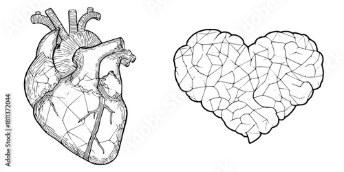 Heart Humanity: Black White Illustration | Clean, isolated vector art for creative projects.
