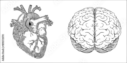 Journey Through Labyrinth Consciousness: Visual Exploration Human Brain Heart | Clean, isolated vector art for creative projects.