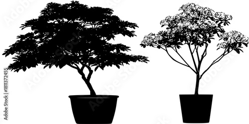 Silhouettes Trees Planters, Three Styles Sizes | Clean, isolated vector art for creative projects.