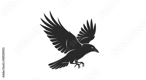 vector illustration of a crow