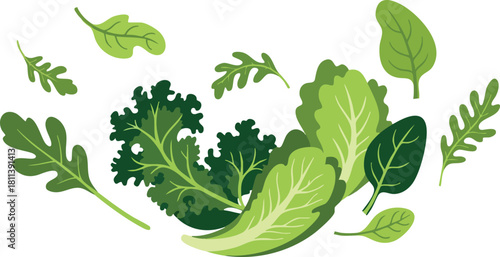 Assorted Green Leafy Vegetables Isolated on White Background Fresh Salad Ingredients