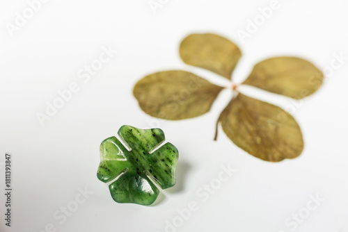 Detail of four-leaf clover on background