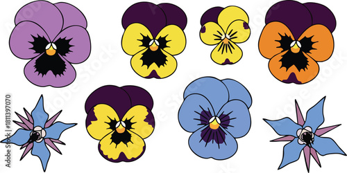Assortment Of Colorful Pansy Flowers And Star Shaped Blue Flowers With Black Centers Against White Background