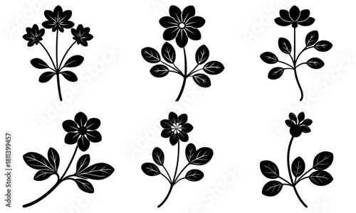 Silhouette illustration of six floral arrangements with varying leaf and flower styles shown clearly