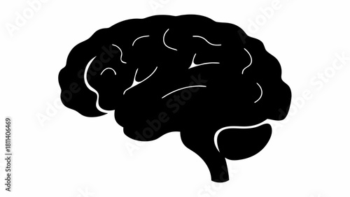 Silhouette illustration of a human brain with visible lobes and cerebral cortex anatomy shown in black