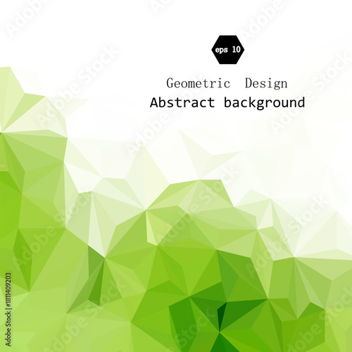 Light Green vector blurry triangle template. Shining illustration, which consist of triangles. Template for a cell phone background. eps 10