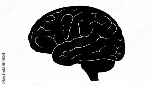 Illustration of a black human brain with white lines depicting gyri and sulci on a white background