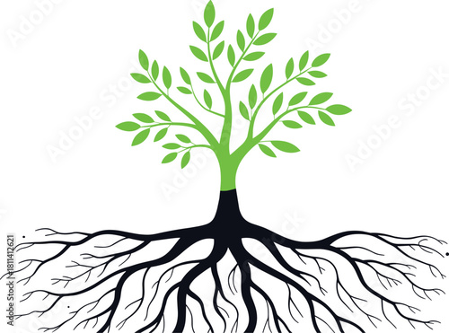 Green tree with detailed branching roots illustration symbolizing growth, nature, ecology, sustainability, environmental conservation, organic development, botanical concept design