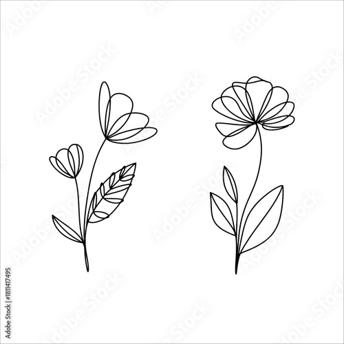 Floral Delicacy: A delicate line art illustration presents the elegant simplicity of floral beauty, capturing the essence of nature's refined artistry.