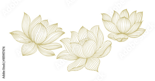 Stylized lotus flower vector illustration on transparent background