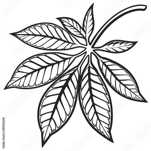  Stylized Chili Leaf Veins