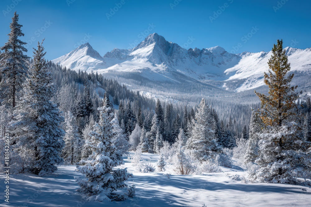 custom made wallpaper toronto digitalSnowy mountain landscape with snow-covered trees under a clear blue sky