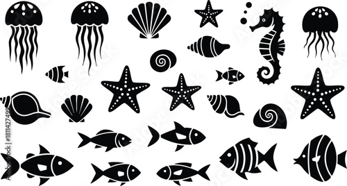 Black and white sea creatures silhouettes including fish starfish jellyfish seahorse and shells in vector style illustration
