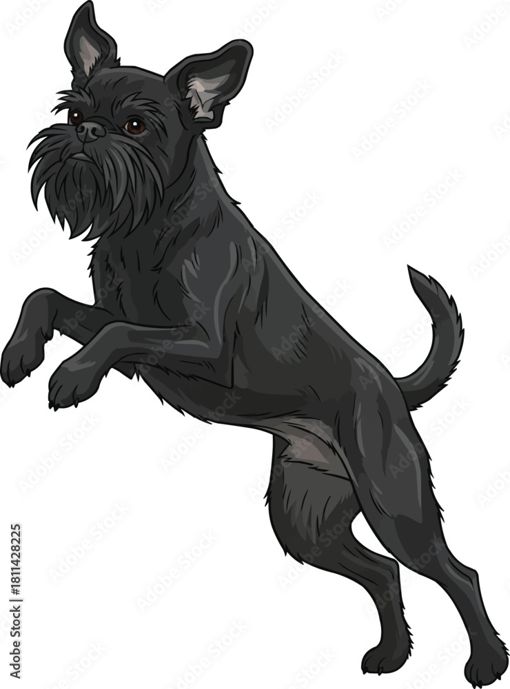Fototapeta premium Griffon Belge dog jumping playful pose cute illustration