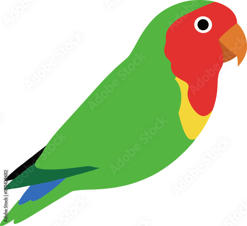 Flat Design Lovebird Bird Simple Cute Graphic Detailed Illustration