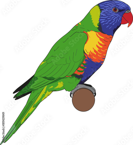 Colorful Illustration of Detailed Rainbow Lorikeet Bird Perched on Branch