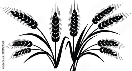 Black silhouette of wheat ears with leaves isolated on white background natural agriculture illustration