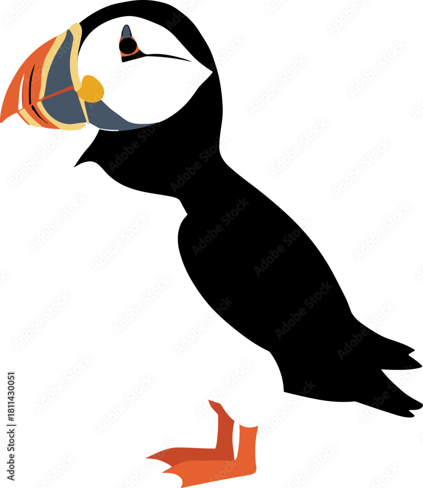Obraz premium Clean Simple Style Atlantic Puffin Bird Illustration Graphic Design Icon