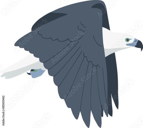 Minimalist Flat Design White Bellied Sea Eagle Flying in the Sky Illustration
