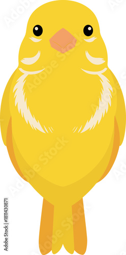 Simple Cartoon Style Canary Bird Illustration on Isolated White Background