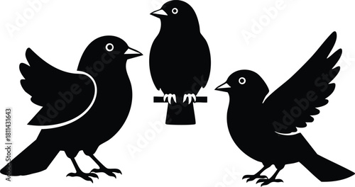 Three black silhouette birds with wings partly spread on white background simple nature design