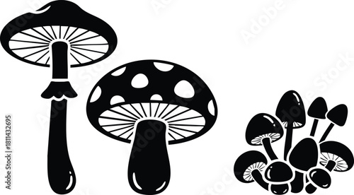 Black silhouette illustration of different mushroom species with spotted caps and stems in natural shapes