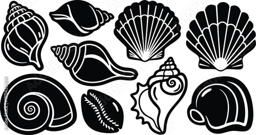 Collection of black and white sea shells silhouette vector icons simple design natural ocean elements illustration