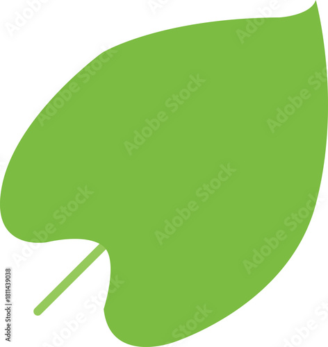 green leaf icon, colocasia leaf vector illustration, green leaf vector illustration